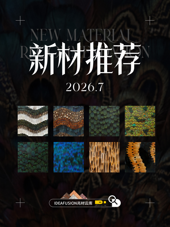 视觉惊艳的羽毛形态